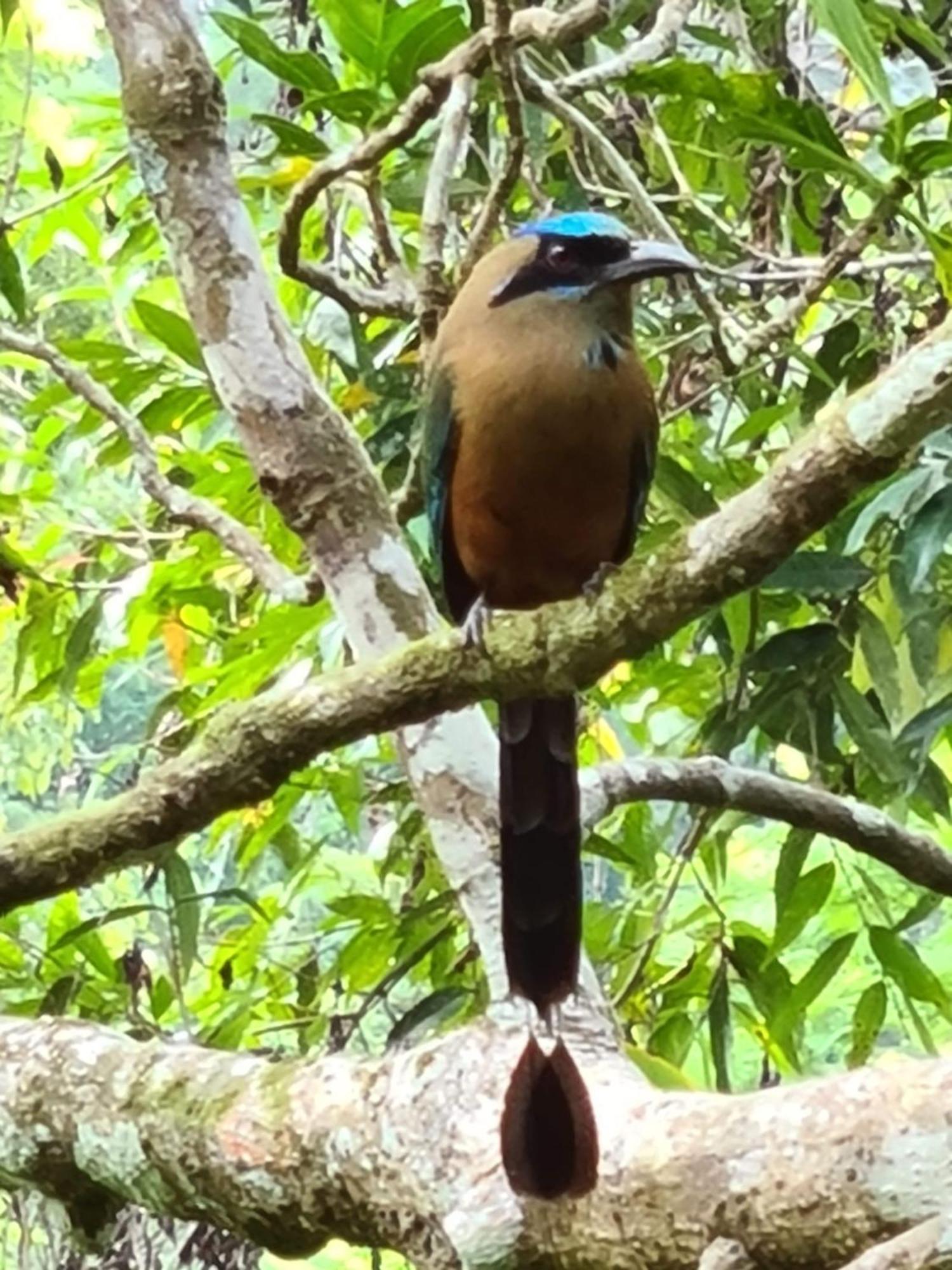 Gamboa Apartment Toucan Y Studio Neque エクステリア 写真