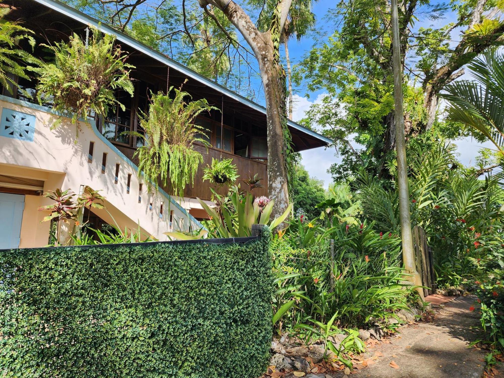 Gamboa Apartment Toucan Y Studio Neque エクステリア 写真
